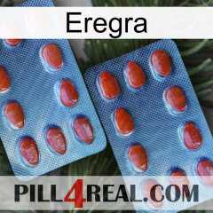 Eregra 05